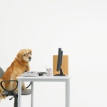 Nuestro Blog arranca en 3,2,1....